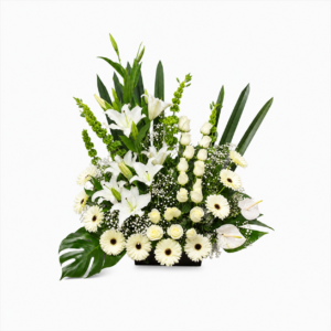 Arreglo Blanca Elegancia