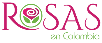 Rosas en Bogota y en Colombia