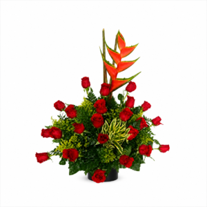 Fuego Tropical
